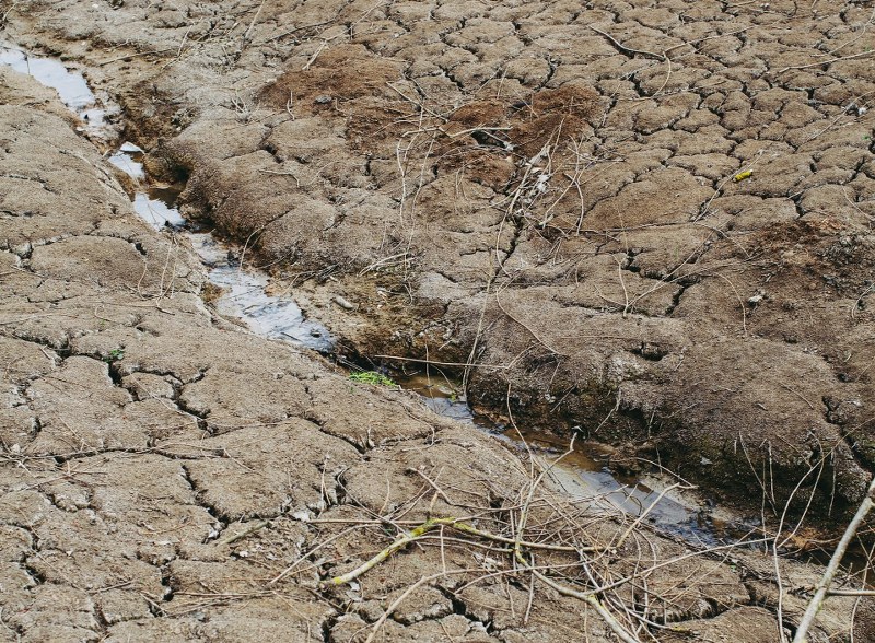 British Columbia to experience drought conditions during summer, people urged to conserve water