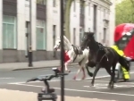 Military horses run loose in London, police recover them later