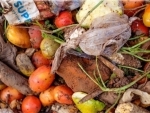 UN study says with 783 million people going hungry, a fifth of all food goes to waste