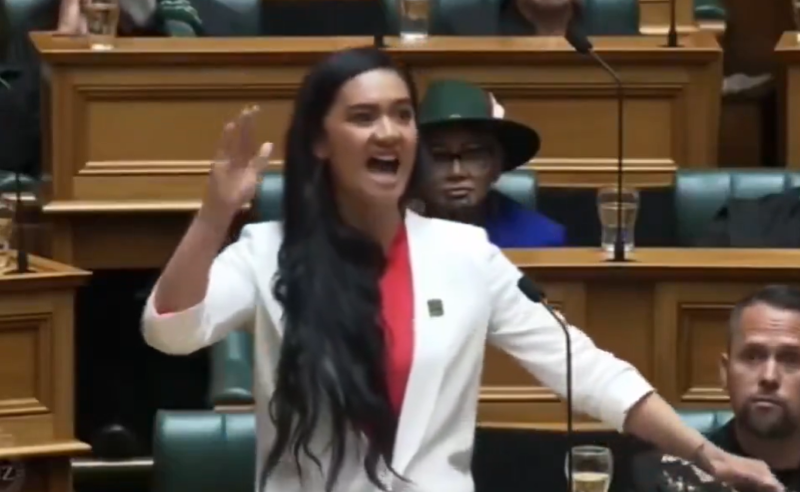 New Zealand's youngest MP Maipi-Clarke performs Maori Haka in Parliament, video goes viral