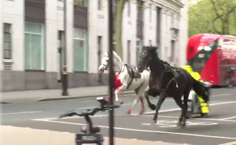 Military horses run loose in London, police recover them later